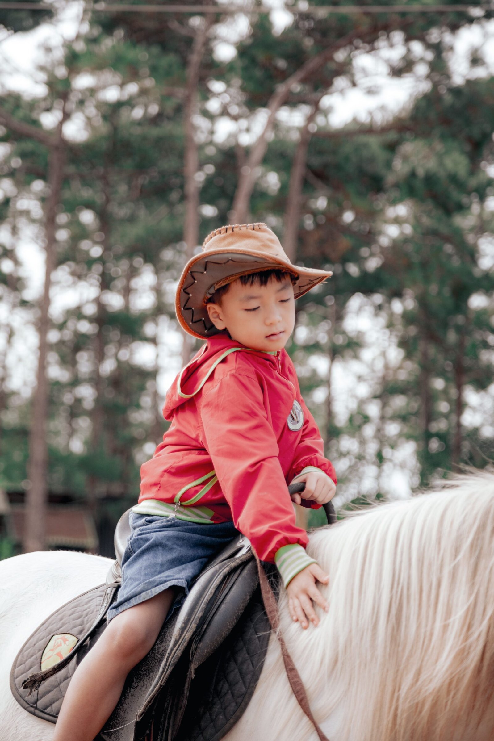 A young boy in a brown cowboy hat and red jacket riding on a white horse